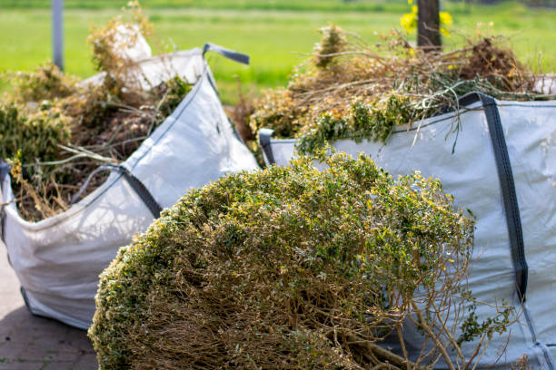  East Pepperell, MA Junk Removal Services Pros